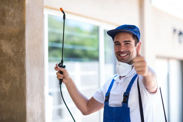 San Bruno Wasp Removal