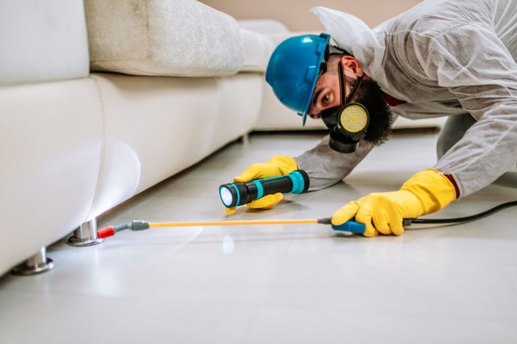 San Bruno Termite Control