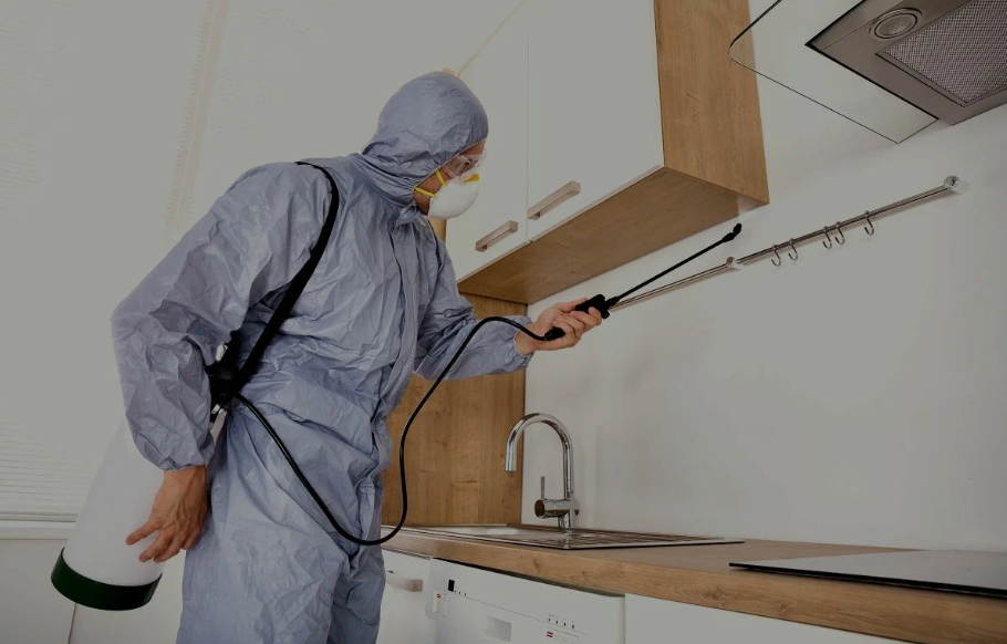 San Bruno pest managment